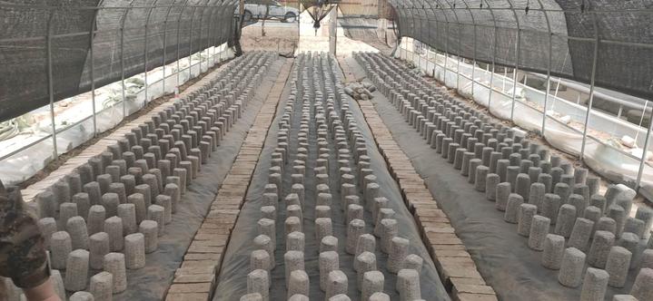 微信图片_20200915174023.jpg 微信图片_20200915174023.jpg