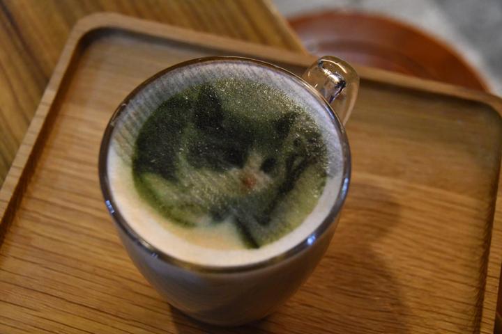 image005.jpg image005.jpg